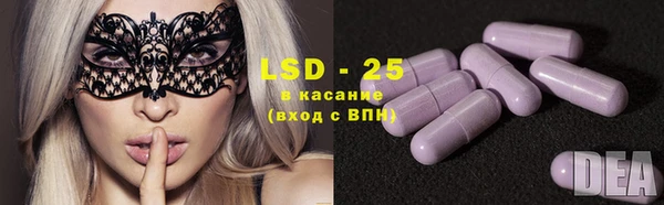 прущие крисы Магадан