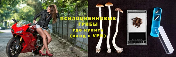 ALPHA-PVP Майский