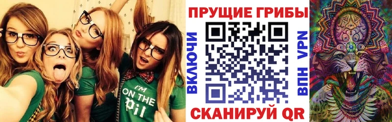 Купить где  Казань  Галлюциногенные грибы ЛСД 